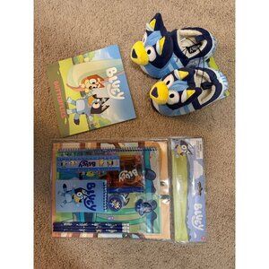 Brand new bluey bundle! Slippers, book and drawing